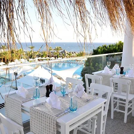 Paloma Oceana 5* シダ