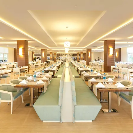 Paloma Oceana 5* シダ