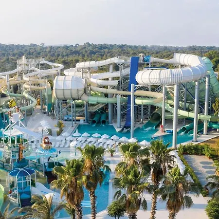 Paloma Oceana 5* シダ
