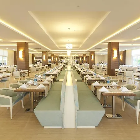 Paloma Oceana 5* シダ